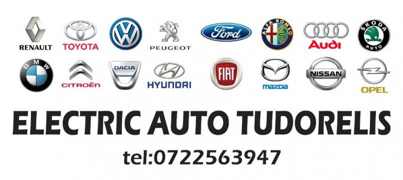 Reparatii Alternatoare si  Electromotoare
